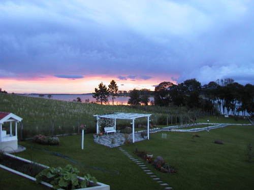 Teialeal's profile picture. 