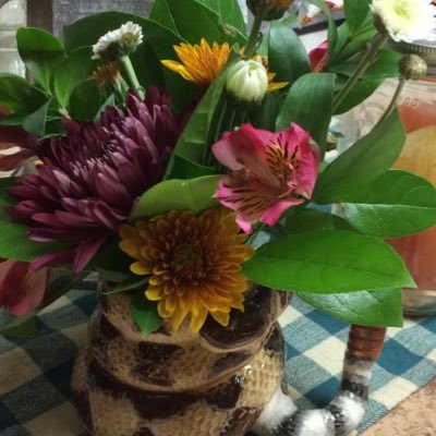 AnitaStenersen's profile picture. 