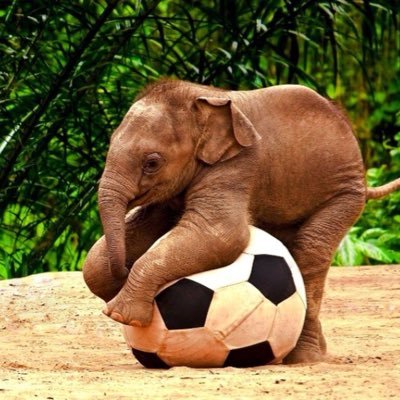 CAMPAlGN4CHANGE's profile picture. 