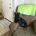 Sharon Mattison - @mattison_sharon - Twitter