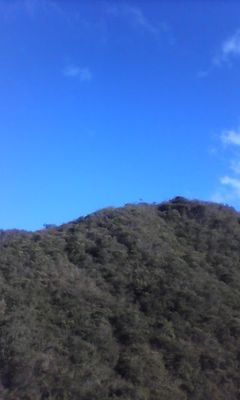 surez_helen's profile picture. 