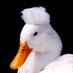 Ducky (@sarnia1857) Twitter profile photo Ducky (@sarnia1857) Twitter profile photo