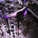 Lily Man - @lily_man - Twitter