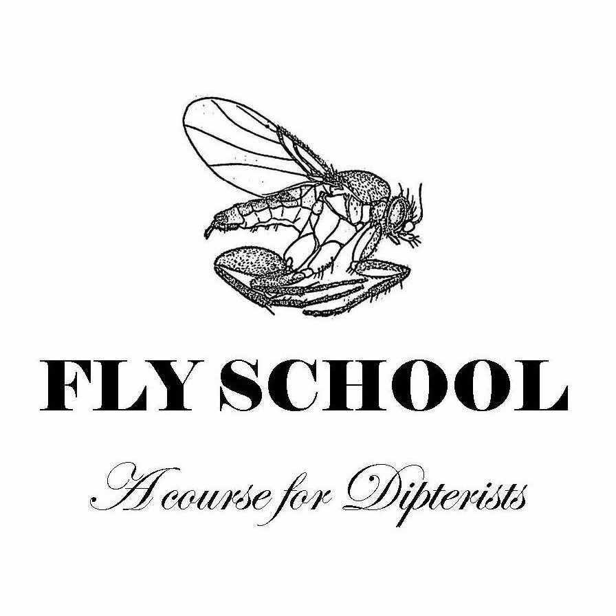 Fly School is a two week course for those who want to gain a more comprehensive understanding of Diptera.