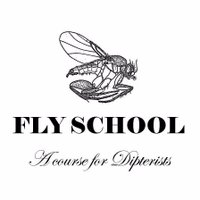 Fly School(@dipteracourse) 's Twitter Profile Photo