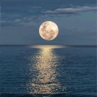 Howling at the Moon 🐺(@Jane_Gillon) 's Twitter Profile Photo