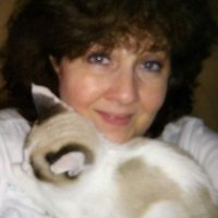 Kelly Clemo - @KellyClemo1 Twitter Profile Photo