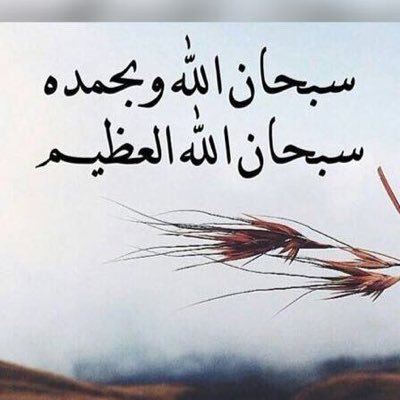 اللهم ارحمهم واجعل الريان بابهم والكوثر شرابهم والفردوس ثوابهم واجعل اعمالهم مؤنسه لهم واجعلهم ينامون قريري العين مطمئني القلب برضاك وعفوك يالله.