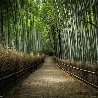 lorraine_shkim (@lorraine0110) 's Twitter Profile