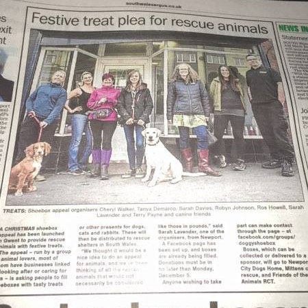 Group of dog walkers, groomers & home boarders collecting as many shoeboxes as possible to give to local animal charities.2018 will be bigger! #santapawsnewport