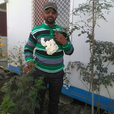 Satyend20678462's profile picture. Sikanderpur Kannauj Utter Pardesh