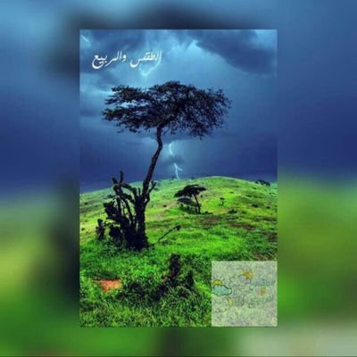 ‏سلطان الخميس التميمي طالب علم من تﻻميذ الشيخ بن باز واﻷلباني وبن عثيمين وبن جبرين وبن قعود رحمهم الله