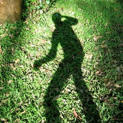 DebapriyamSaha's profile picture. 