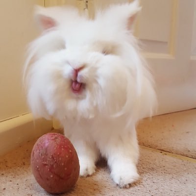 We aim to push anxiety and depression into the darkness and bring the sufferers into the light, our moto is 'Share to Care' let's fight together... 🐰🥕