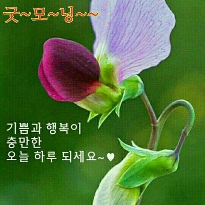 함께 나누는  행복~♡♡♡