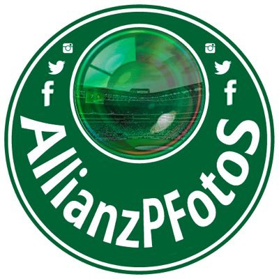 Allianz Parque Fotos