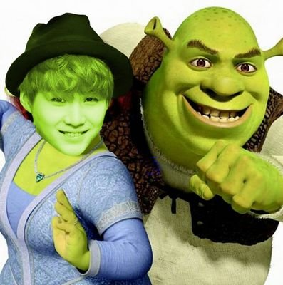 toongi x shrek.