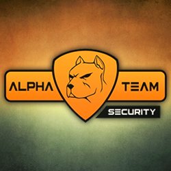 alpha team guide pdf alpha team guide pdf