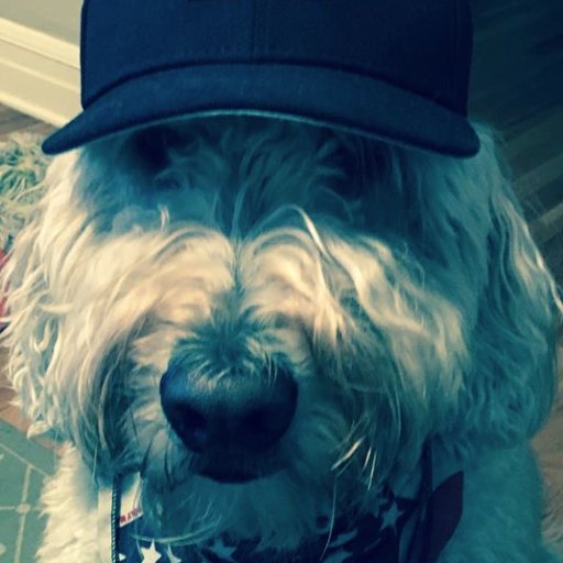 MGoDenver's profile picture. Michigan alum, Detroit sports faithful.