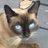cyndymw's avatar