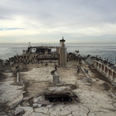 jpmorici's profile picture. 