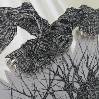 Insta:@girlwiththelabyrinthinespine
Artist,dreamer, illustrator, sculptor,community artist- experience of working with all ages.
Available 4 work/commissions.