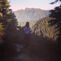 Melissa Matthews (@melliematt) 's Twitter Profile