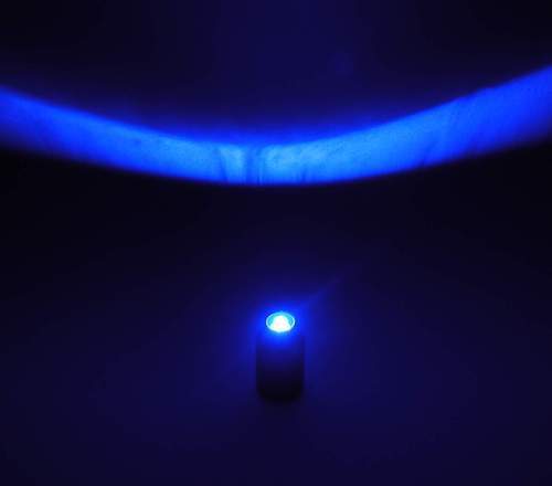 VegaSeed's profile picture. starseed
light into action