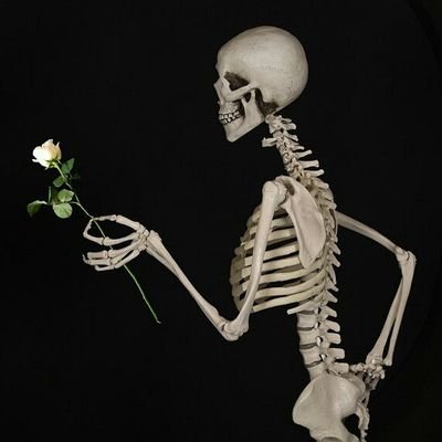 bernadette_011's profile picture. @Alfie_Backer