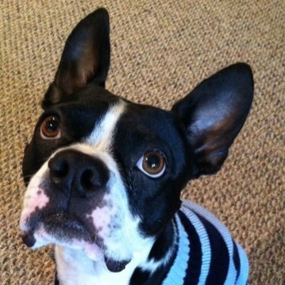 melmstx's profile picture.