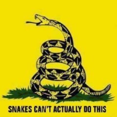 BetsyFYerguns's profile picture. 