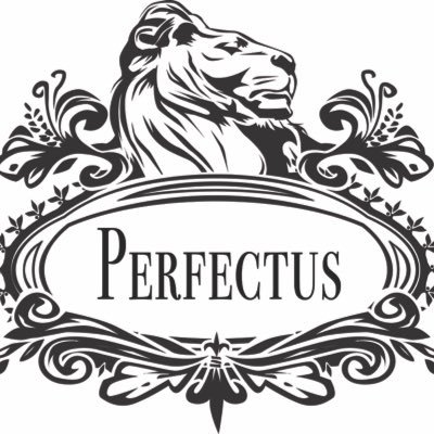 PerfectusCo's profile picture. DIY & Home Lifestyle Entertainment Organizing, Cataloging, Efficiency services for residential and commercial