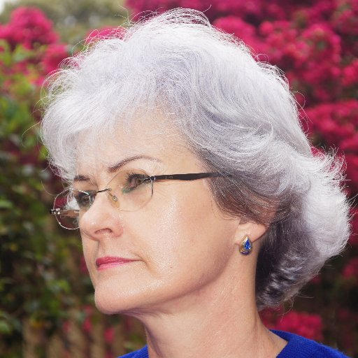 Maquiadora, Esteticista, Assessora de imagem pela cor, blogueira e youtuber.