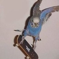 brian (@grroovyy) 's Twitter Profile