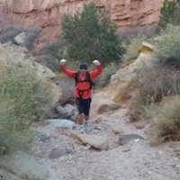 Brandon Harrison (@cues4training) 's Twitter Profile