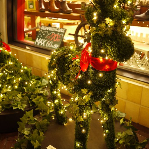 kitano_Plants's profile picture. 料理大好き おだやかにこれからの人生過ごしていきたい