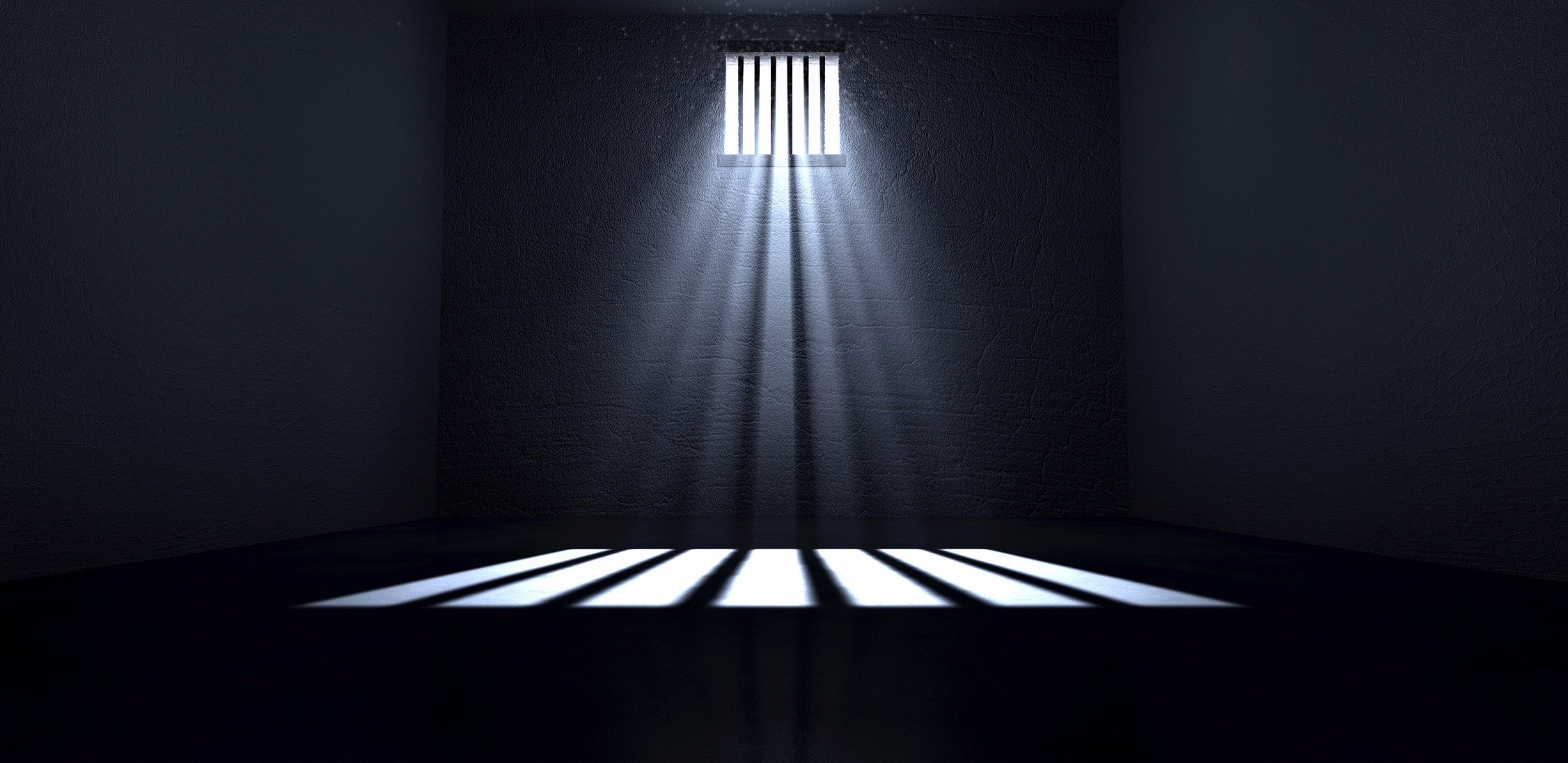Bring awareness to the public about how solitary confinement affects multiple people, not just the prisoner, negatively.
