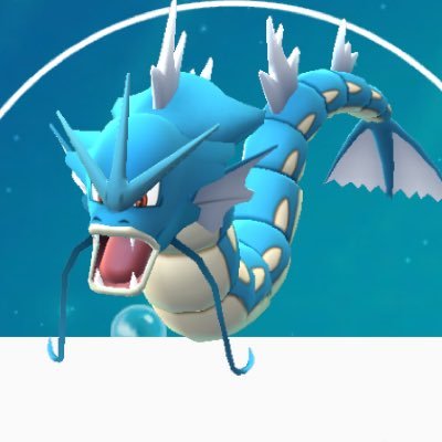 realGraybeal's profile picture. Insta @joegraybeal2bad