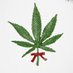 CannaCulture (@cannaculture1) Twitter profile photo CannaCulture (@cannaculture1) Twitter profile photo