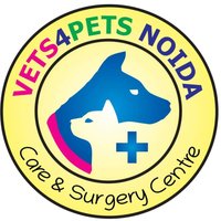 Vets4Pets Hospital(@vet4petHospital) 's Twitter Profile Photo