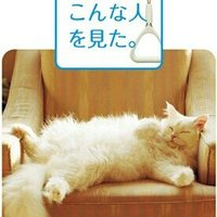 モマ (@rors_mole) Twitter profile photo