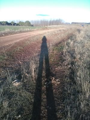 Mica_intrepida's profile picture. Profe de Geografía e Historia, aprendiz de antropóloga, amiga, hija y madre todo en uno.
Me mata la curiosidad (pero prefiero los perros).