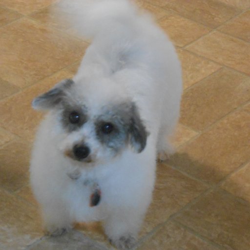 mrsunger's profile picture. Just someone that loves to enjoy the things in life that we have at this time. I love talking to people, parks, nature, the sea, I love scenery and my pets.