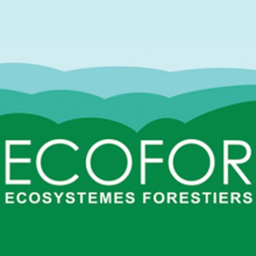 Groupement d'Intérêt Public sur les écosystèmes forestiers 
#EcosystèmesForestiers #Biodiversité #GestionDurable