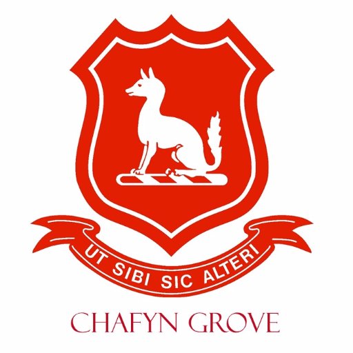 Chafyn Grove School