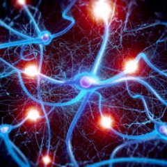 bniyaseen's profile picture. Assistant professor (Data science & AI)