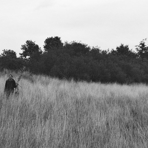 spinneytv's profile picture. 