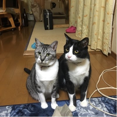 Lefan7171's profile picture. 廃人