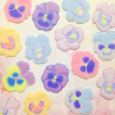 papirunpi's profile picture. 