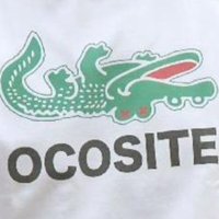 オカウチワニ@ポケカ好きQAエンジニア (@okauchiwani) 's Twitter Profile Photo